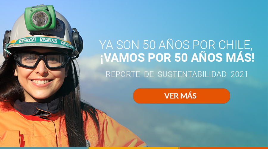 CODELCO - Corporación Nacional Del Cobre , Chile - Inicio