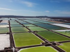 Sobre 80% de personas que saben de la alianza Codelco-SQM para el litio, la apoyan