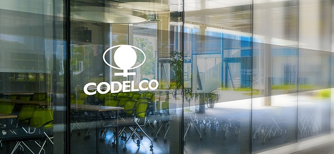 Codelco y Quiborax crean joint venture para avanzar en la obtención de CEOL que permita explotar el litio en el Salar de Ascotán